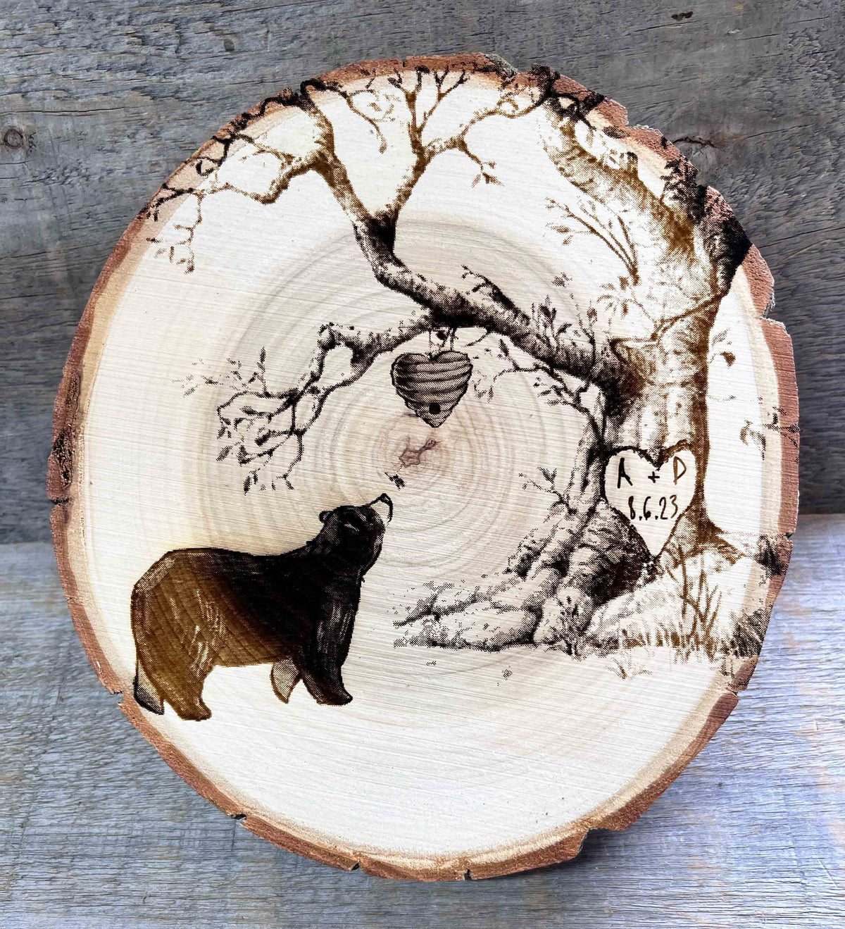 Tree Slice Plaque.