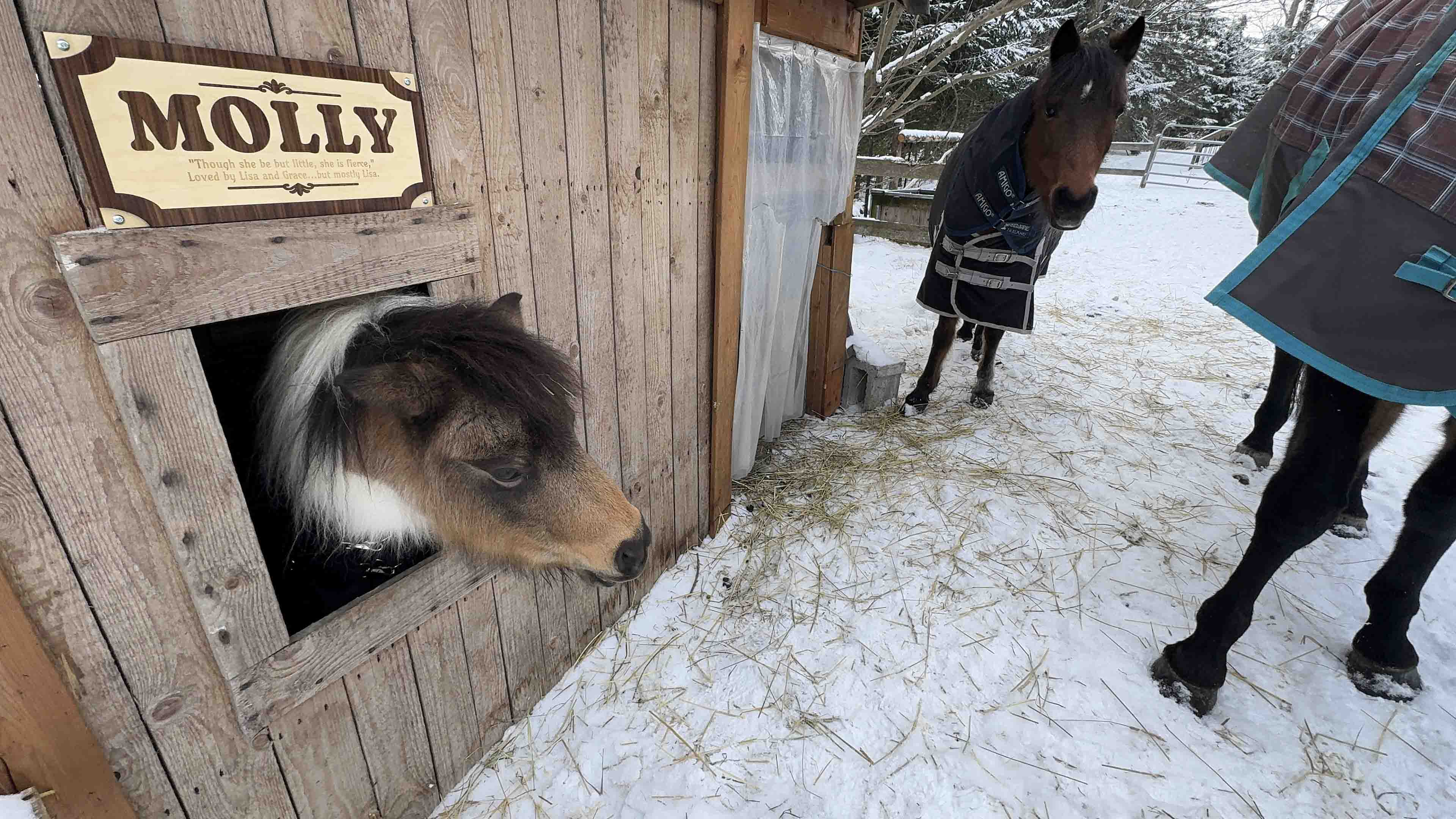 Custom Wood Horse Stall Name Plate | Personalized Barn Sign - Memories Made Custom