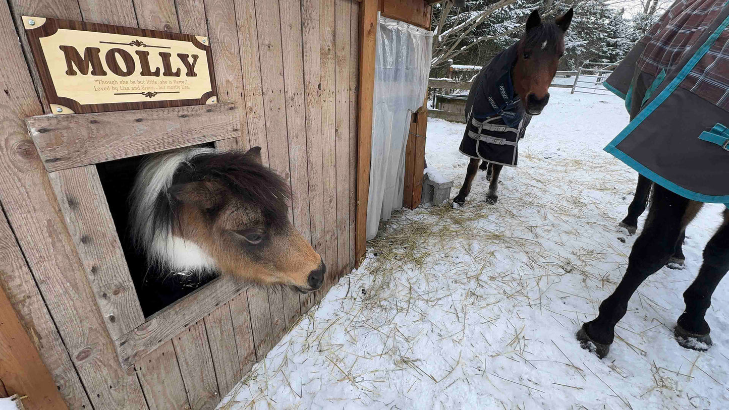 Custom Wood Horse Stall Name Plate | Personalized Barn Sign - Memories Made Custom