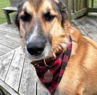 Quiet Dog Tags Premium Leather Memories Made Custom