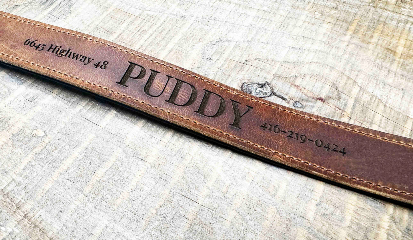 Leather Dog Collars