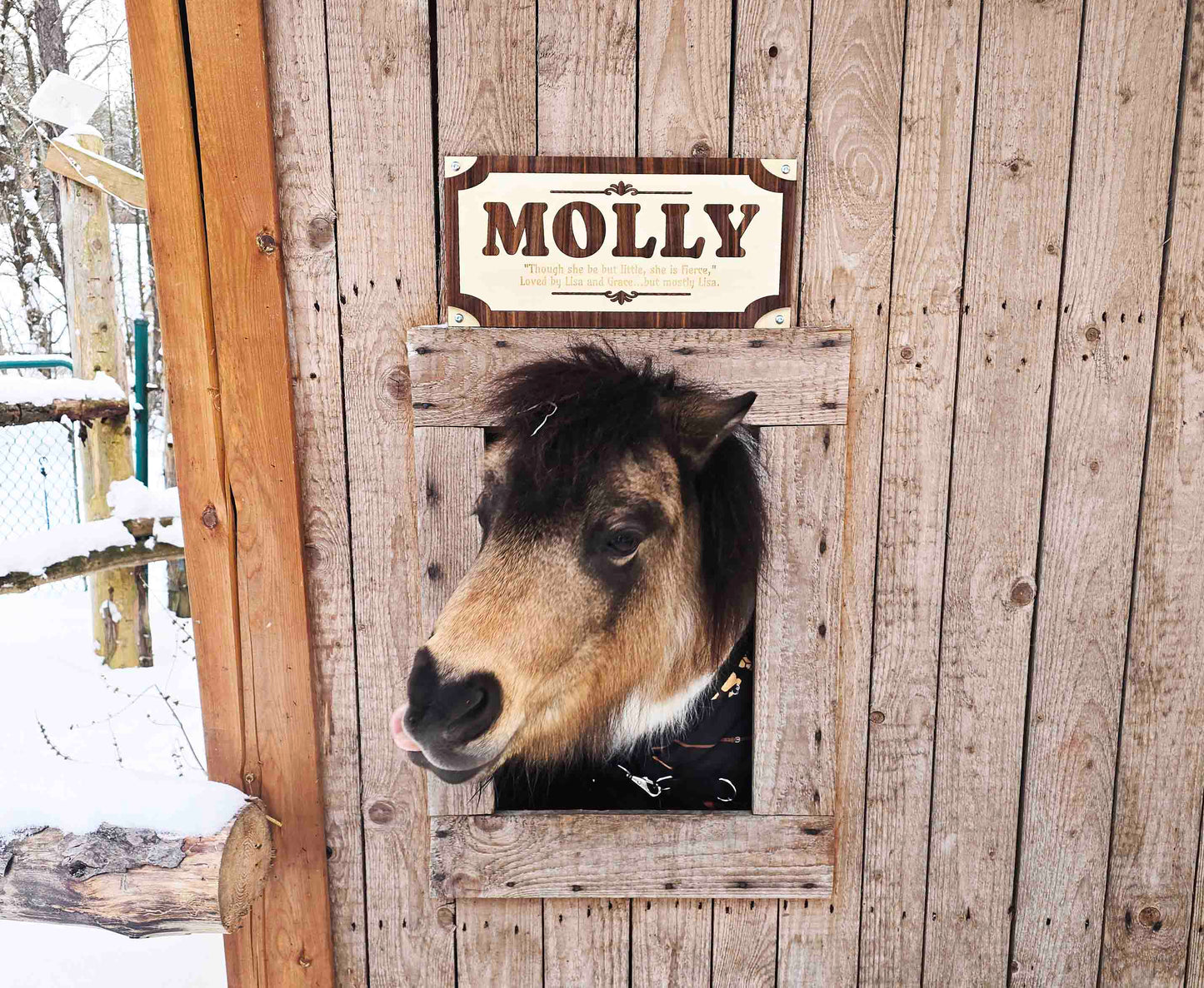 Custom Wood Horse Stall Name Plate | Personalized Barn Sign - Memories Made Custom