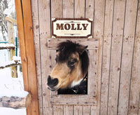 Custom Wood Horse Stall Name Plate | Personalized Barn Sign - Memories Made Custom
