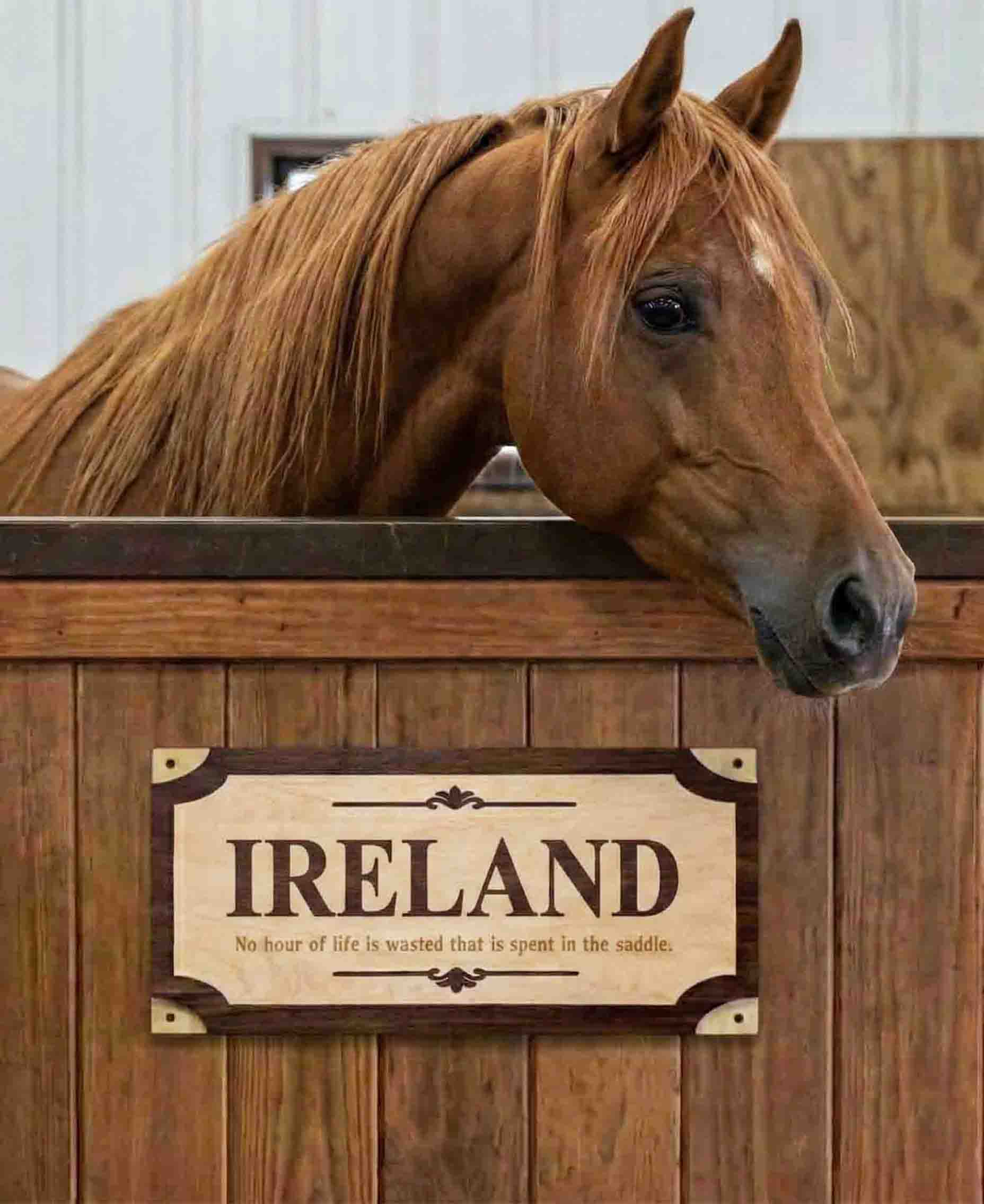 Custom Wood Horse Stall Name Plate | Personalized Barn Sign - Memories Made Custom