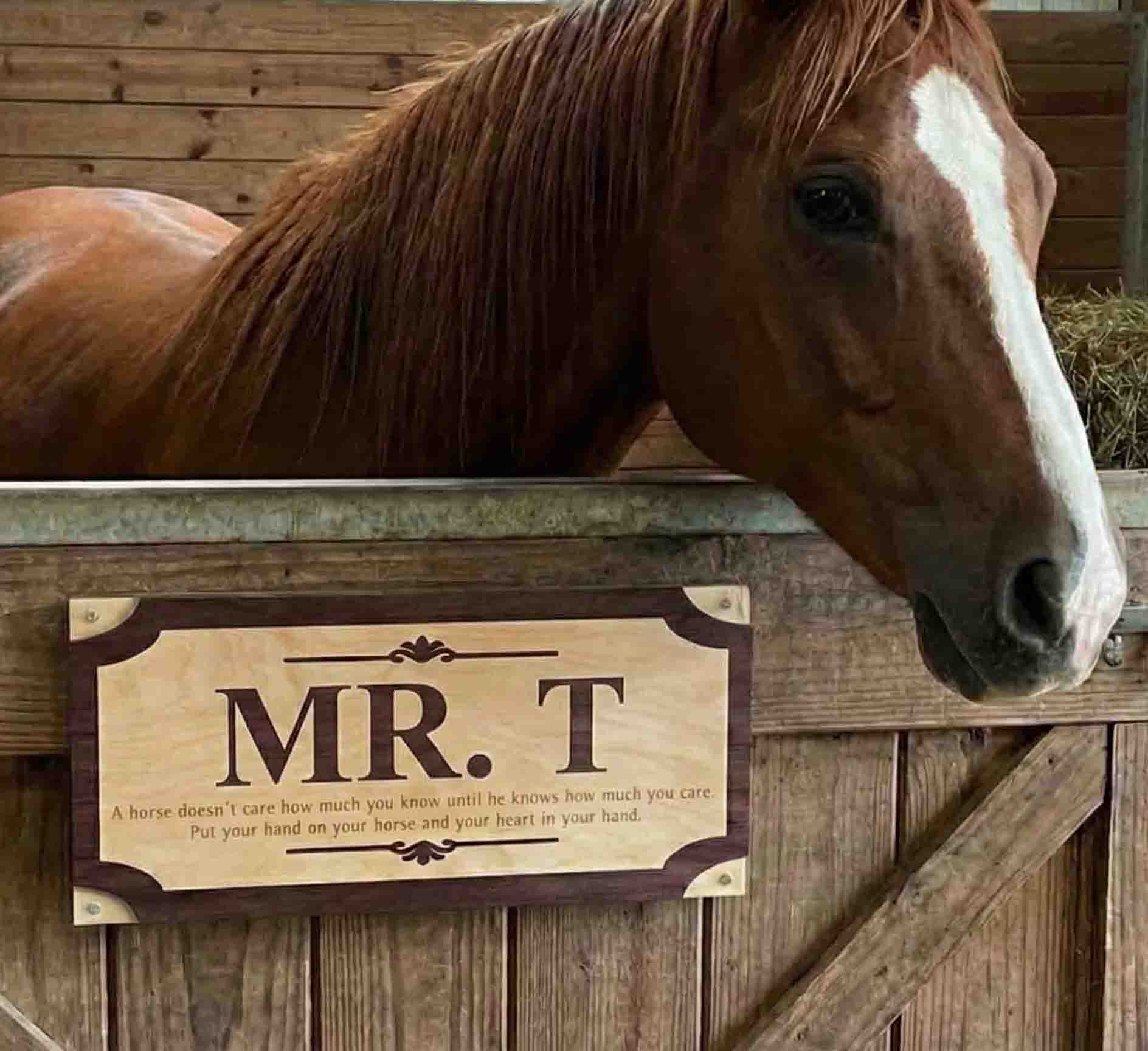 Custom Wood Horse Stall Name Plate | Personalized Barn Sign - Memories Made Custom