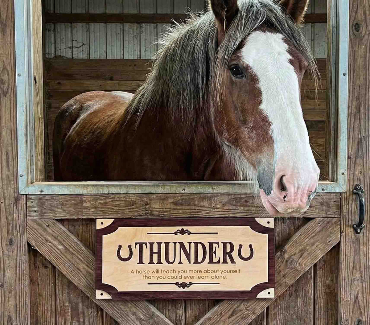 Custom Wood Horse Stall Name Plate | Personalized Barn Sign - Memories Made Custom