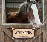Custom Wood Horse Stall Name Plate | Personalized Barn Sign - Memories Made Custom