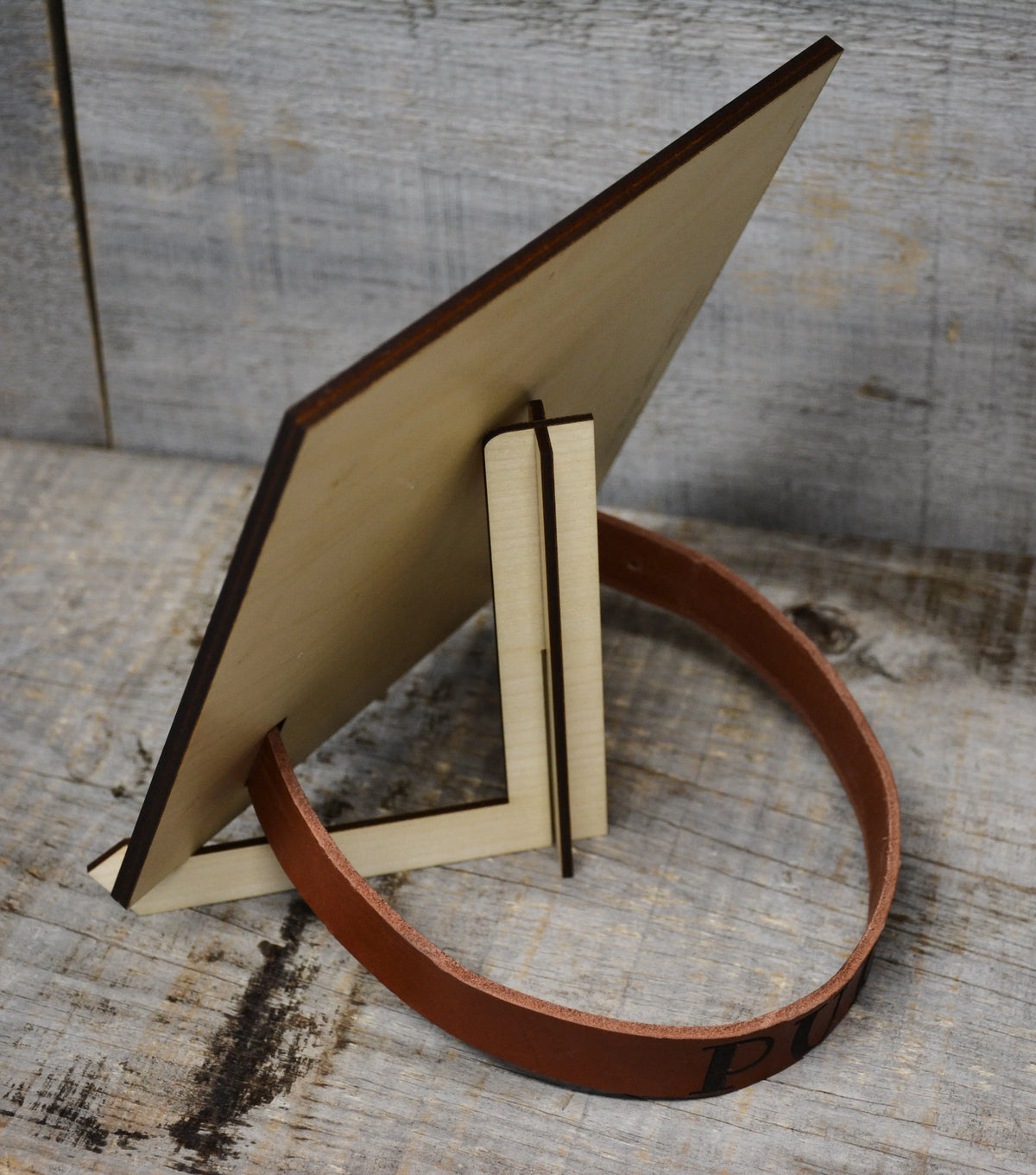Custom Dog Collar Remembrance Frame.