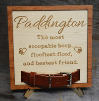 Custom Dog Collar Remembrance Frame.