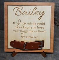 Custom Dog Collar Remembrance Frame.