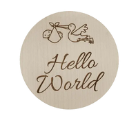 Baby's first year Milestones.