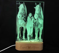 Photo Engraved Light Lamp - 7 Colours.
