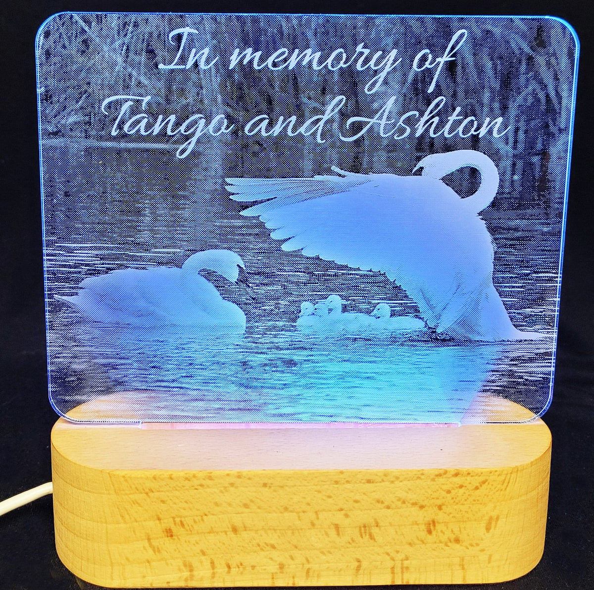 Photo Engraved Light Lamp - 7 Colours.