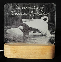 Photo Engraved Light Lamp - 7 Colours.