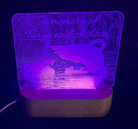 Photo Engraved Light Lamp - 7 Colours.