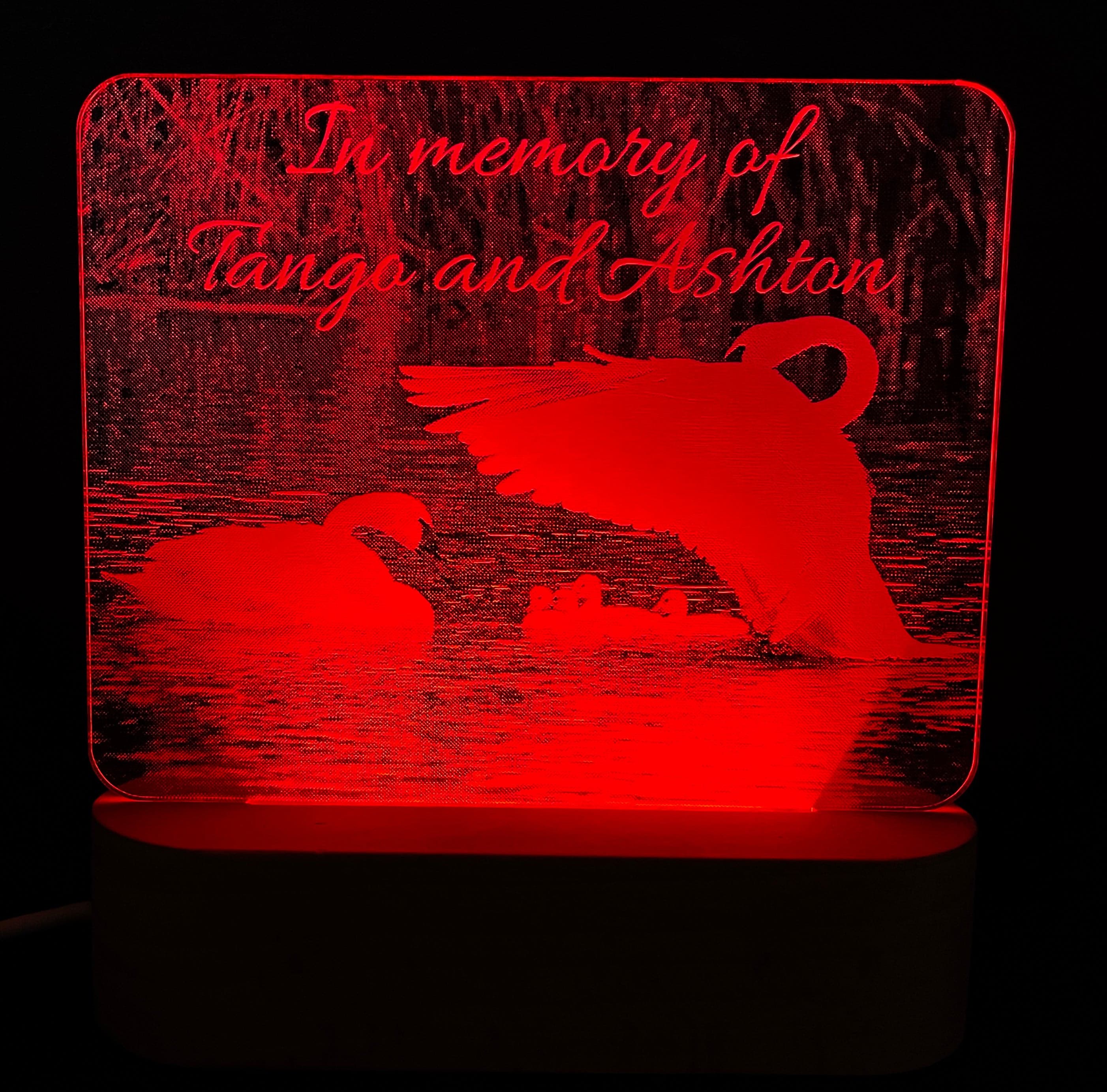 Photo Engraved Light Lamp - 7 Colours.